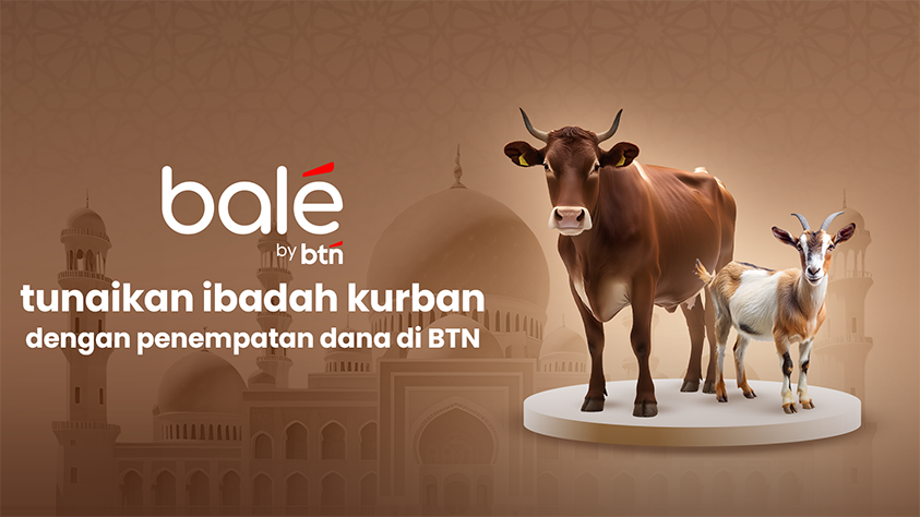 Kurban Superflex 843x474